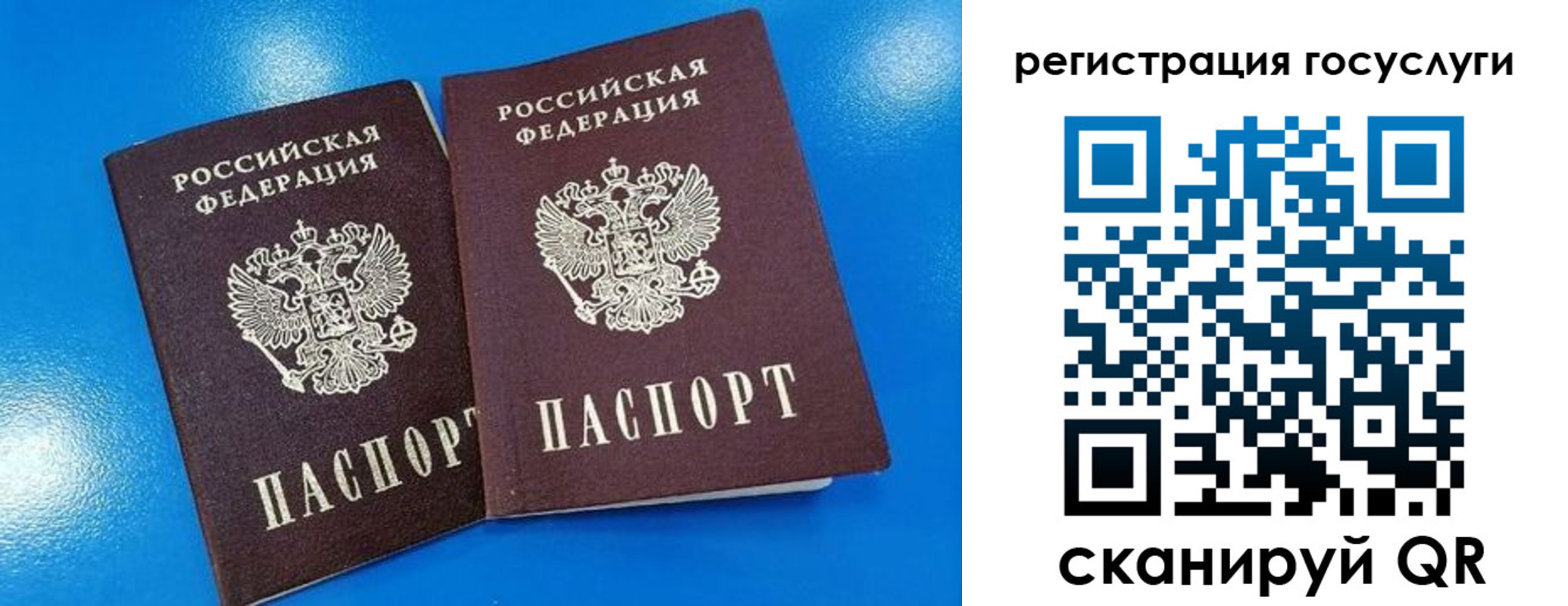 регистрация в Ульяновской области